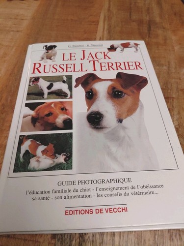 Jack russel terrier g - terrier,
