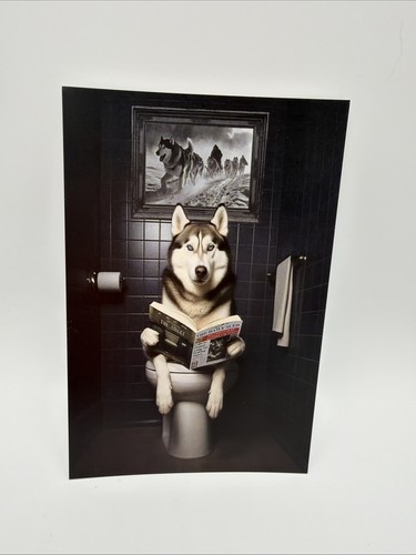 Affiche humoristique husky - affiche,