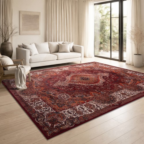 Tapis salon oriental vintage - oriental,