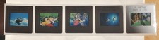 CHATEAU IN THE SKY hayao miyazaki animation 5x slides slide 