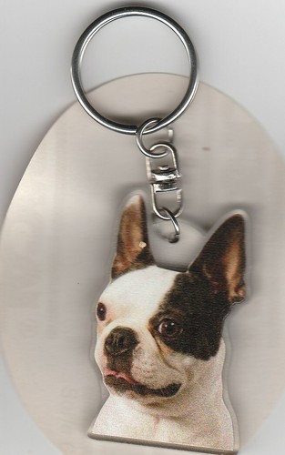 Boston terrier chien - terrier, porte