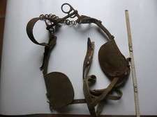 OEILLERES + MORS CHEVAUX