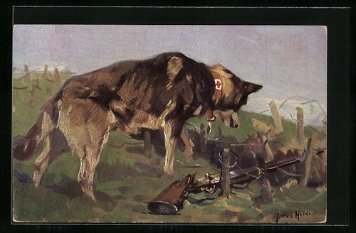 Chiot sanitaire découvre - un,
