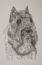 BOUVIER des FLANDRES - Rainbow Bridge Personalized Kline dog art lithograph. #17