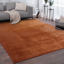 Tapis De Salon Poils Ras