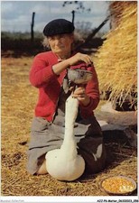 AJJP6-0535 - CRAFT - THE GOOSE GAVEUSE