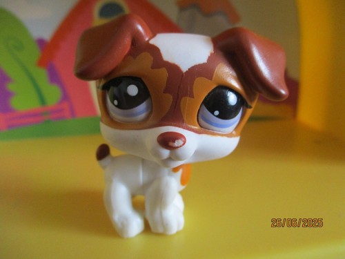 Petshop chien jack russel - jack,