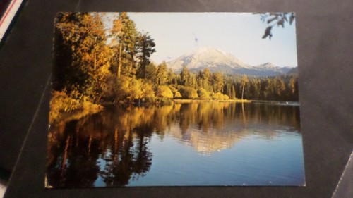 Carte postale usa manzanita - postale,