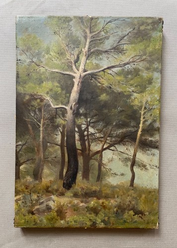 Pins huile sur toile - huile,