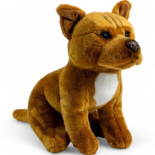Stafford bull terrier marron - bull,