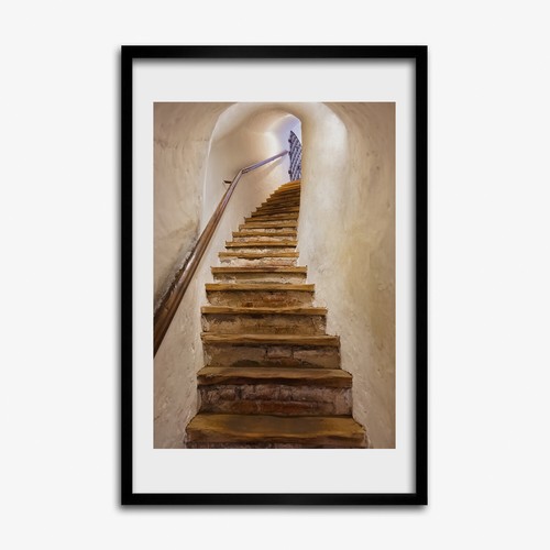 Tulup photo salon 40x60cm - le,