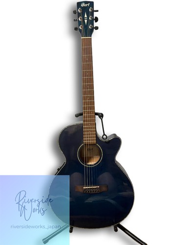 Guitare acoustique électrique