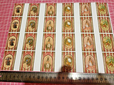 papier peint auto adhésif