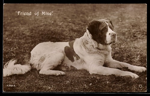 Carte postale friend mine - postale, of