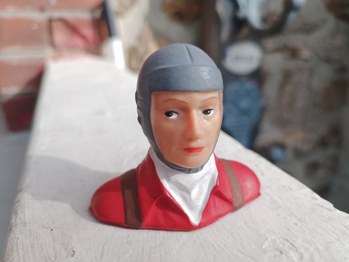 Airplane pilot bust - pilot,