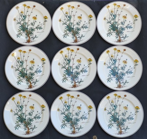 Assiettes plates signées - 9,