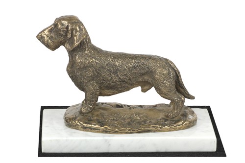 Teckel poil dur statuette - teckel, à