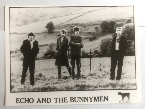 Echo and the - -, 2