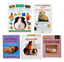 lot de 5 livres COCHON D'INDE