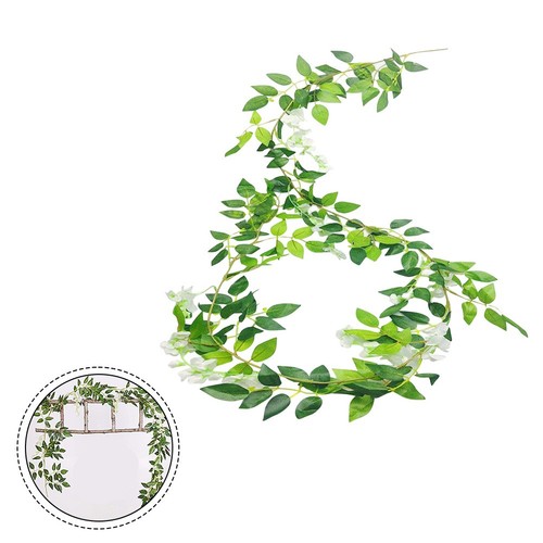 élégante glycine - Élégante,