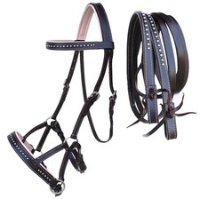 Horse Western Horse Western