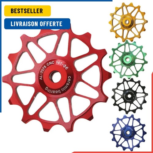 Dérailleur arrière roue - arrière, de