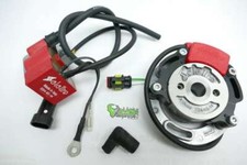 Selettra Complete System NO2019 034-IG-14 Homologated for ASPA Kart Race Pvl