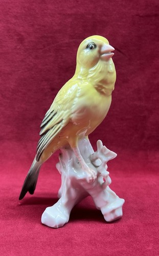 Karl ens canary - bird, vogel