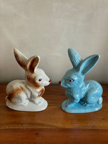Superbes grands lapins - ,