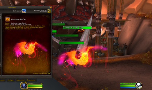 Compte wow rare 27perso