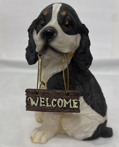New box cavalier king - box,