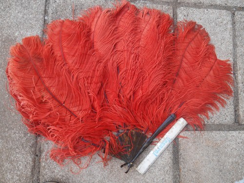 Grand éventail ancien - ancien, plumes
