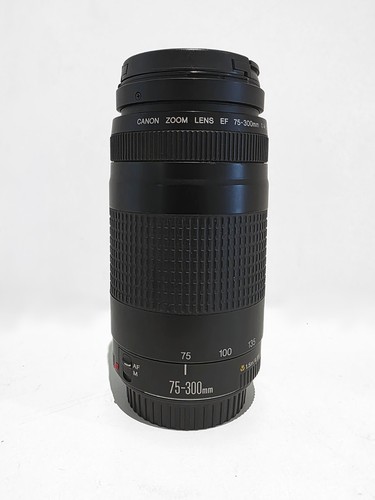 Objectif canon 300mm - objectif, ef