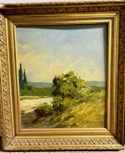 Cypres pin provence - cypres,