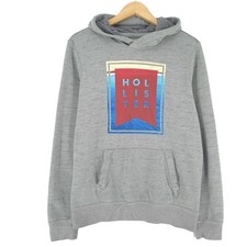 Hollister Sweat À Capuche
