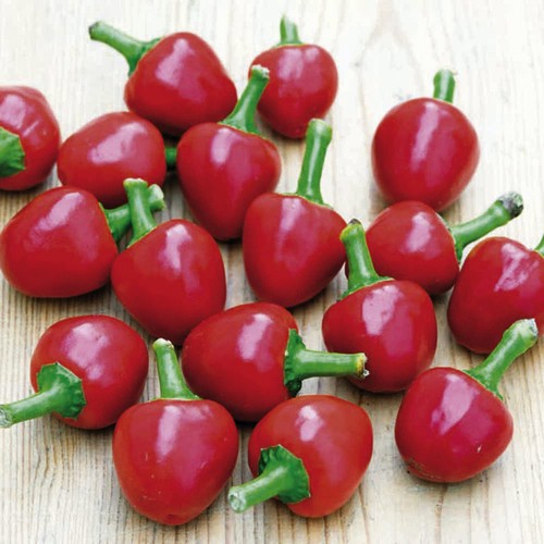 Cerise bomb piment - cerise,