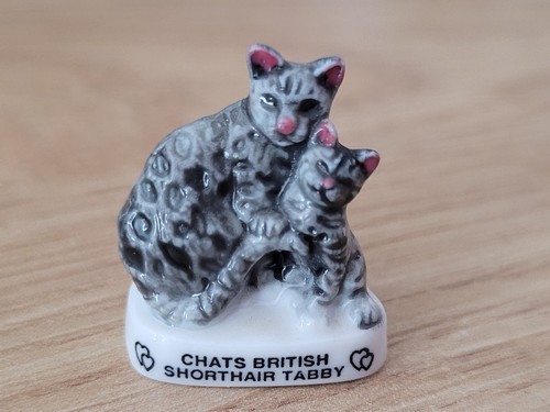 Fève chats british - fève,