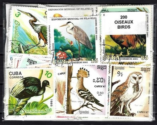Animaux oiseaux 200 - oiseaux,