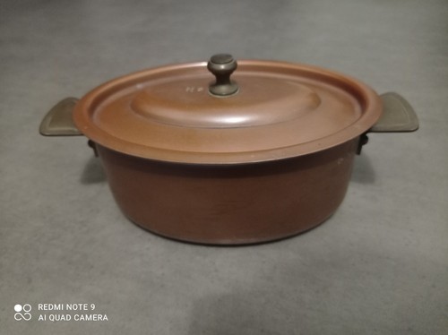 Magnifique cocotte en - ✨,