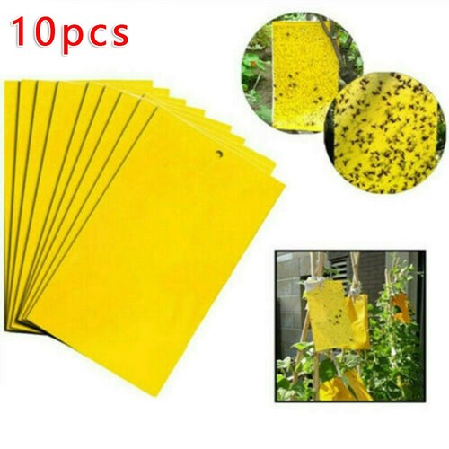 Plaque for collant - 10, suspendu