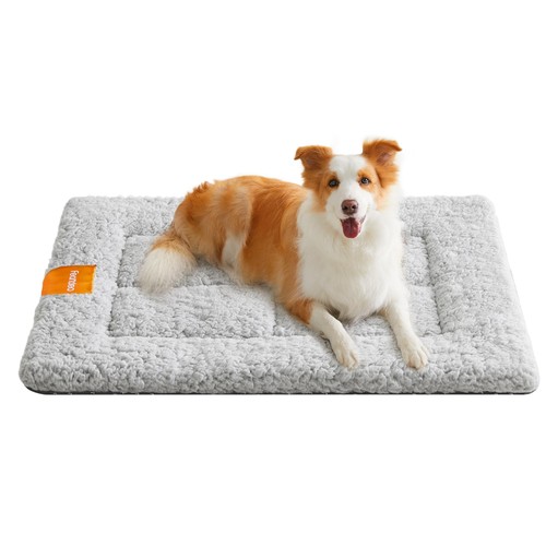 Tapis chien 65 - x,