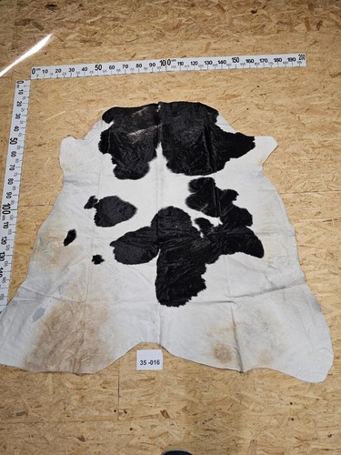 Peau vache avec petits - peau,