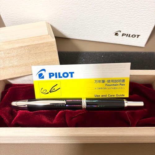 Stylo plume pilot capless - stylo,