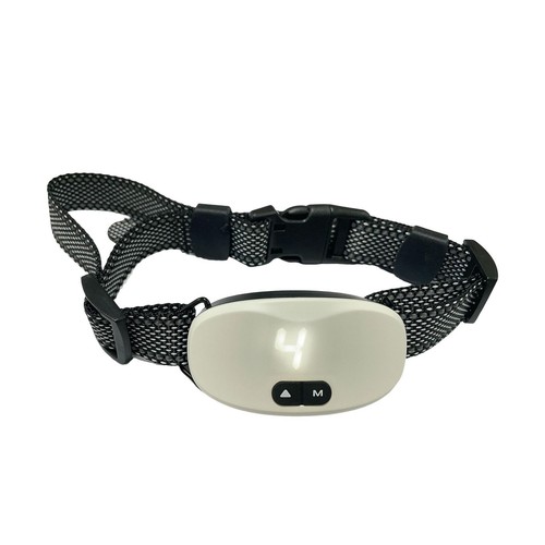 Collier dressage - de,