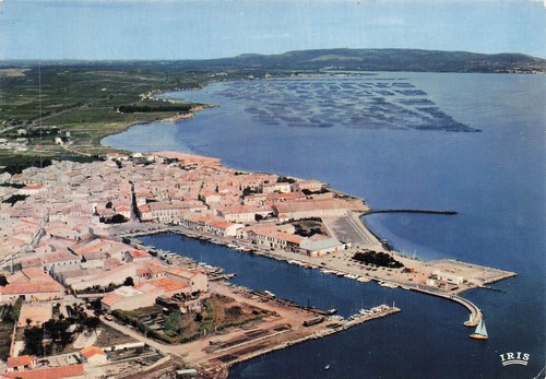 Meze port peche sur - sur, l