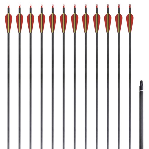 12x flèches standard carbone - flèches,