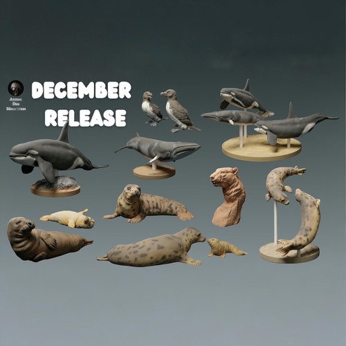 Animaux mer figurines - animaux, du