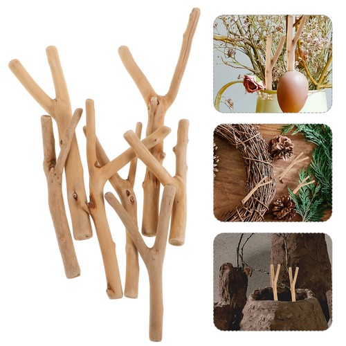 Branche bois flotté - branche, de
