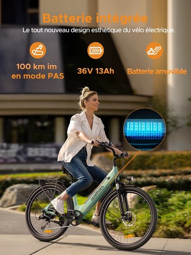Vélo électrique 250w - Électrique,