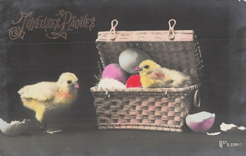 Paques petite malle - petite, osier